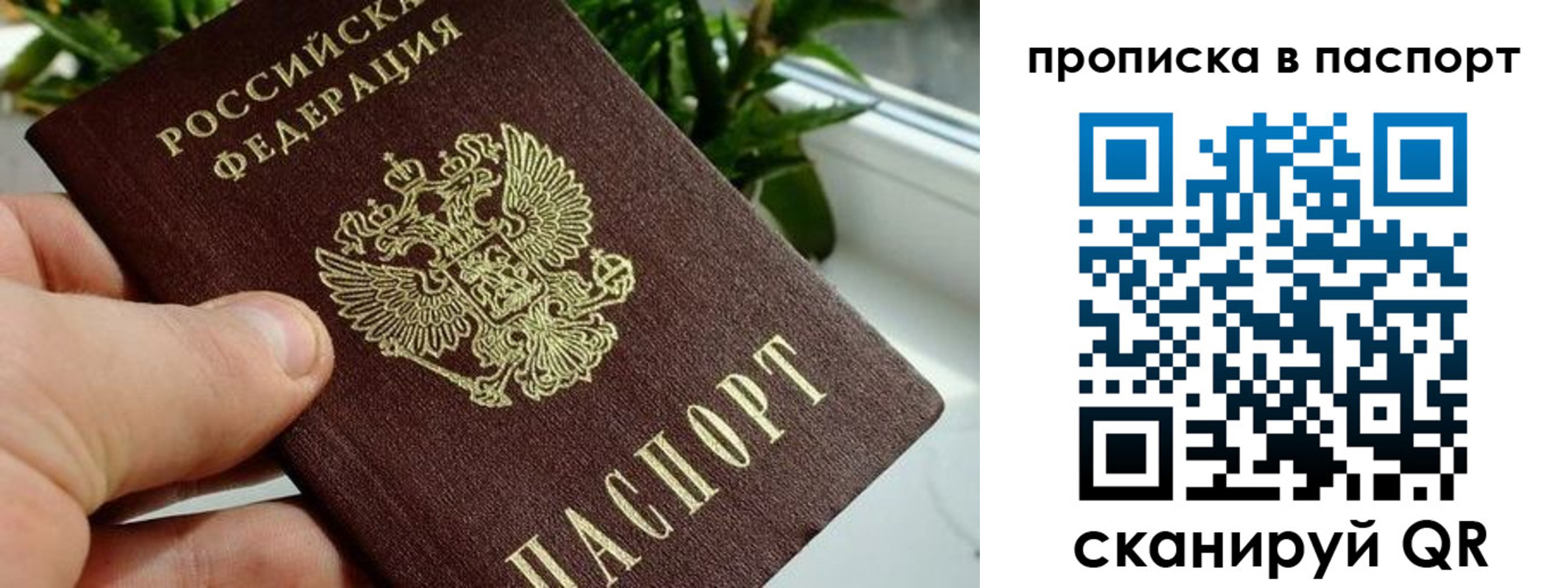 временная регистрация купить в Братске